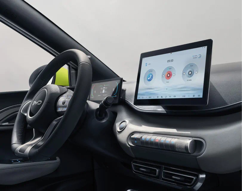 BYD Dolphin Surf safe & easy to use