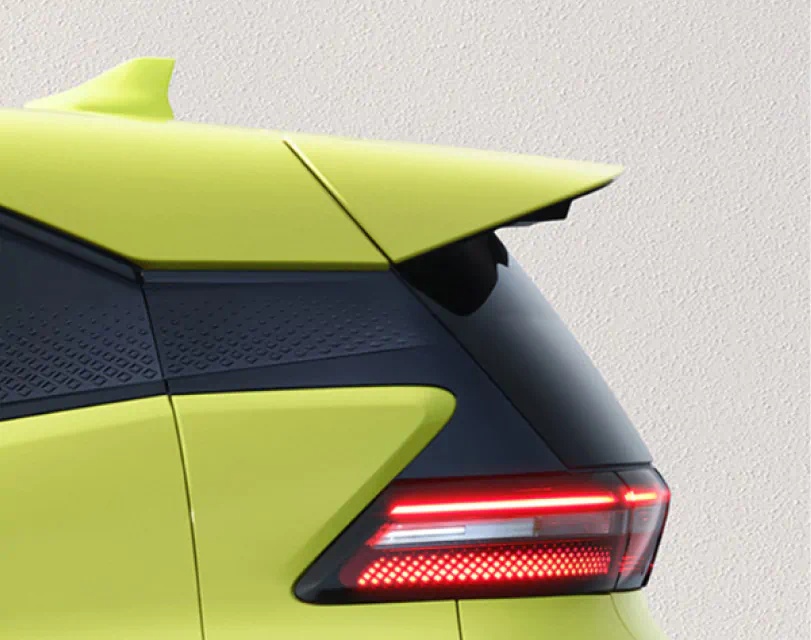 BYD Dolphin Surf Floating roof