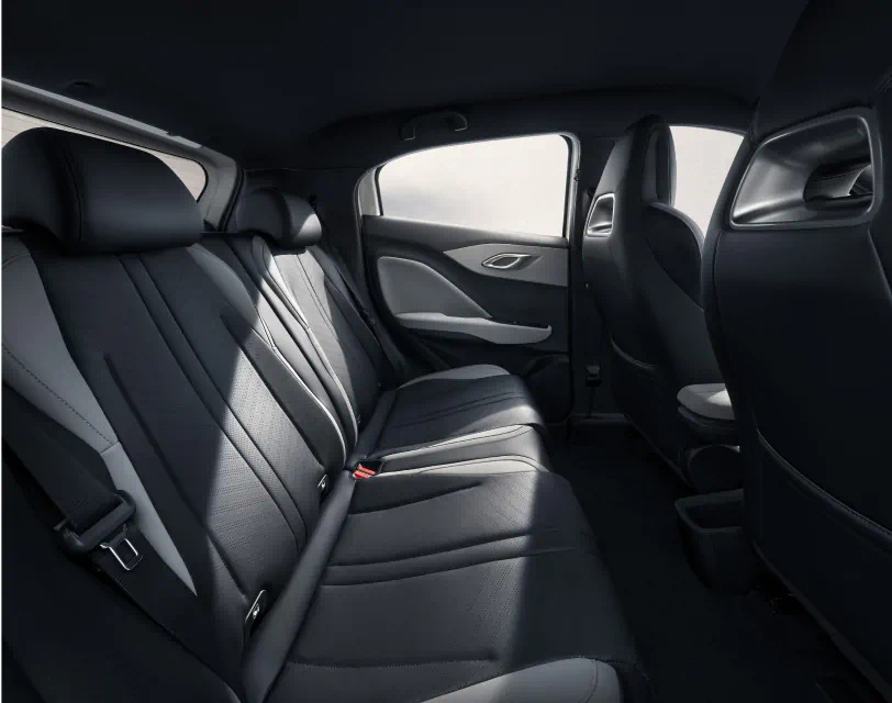 BYD Dolphin Surf perfect blend of support and comfort