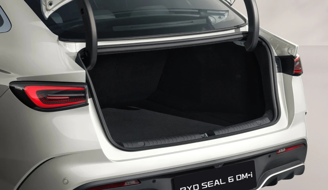 SEAL 6 DM-i Large Boot