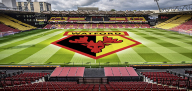 Watford Football grounds